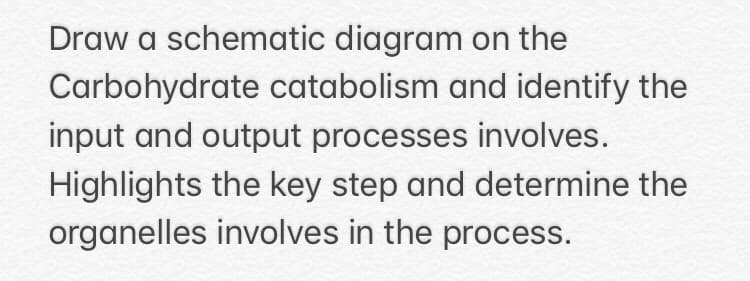 Draw a schematic diagram on the
Carbohydrate catabolism and identify the
input and output processes involves.
Highlights the key step and determine the
organelles involves in the process.
