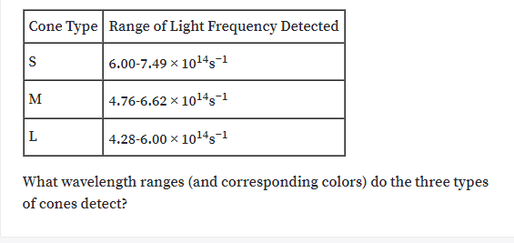 Cone Type Range of Light Frequency Detected
S
6.00-7.49 x 1014s-1
M
4.76-6.62 x 1014s¬1
L
4.28-6.00 x 1014s-1
What wavelength ranges (and corresponding colors) do the three types
of cones detect?
