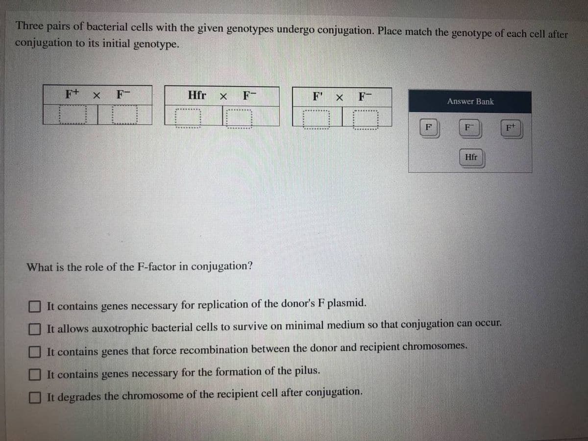 Three pairs of bacterial cells with the given genotypes undergo conjugation. Place match the genotype of each cell after
conjugation to its initial genotype.
F+ x F
Hfr
F-
F'
F-
Answer Bank
F
F
F+
Hfr
What is the role of the F-factor in conjugation?
It contains genes necessary for replication of the donor's F plasmid.
can occur.
It allows auxotrophic bacterial cells to survive on minimal medium so that conjugation
It contains genes that force recombination between the donor and recipient chromosomes.
It contains genes necessary for the formation of the pilus.
O It degrades the chromosome of the recipient cell after conjugation.
