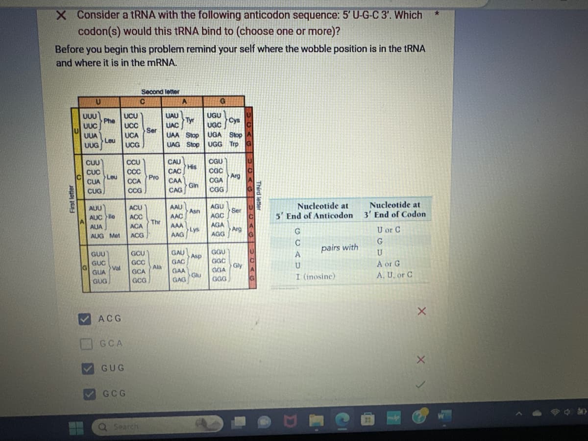 X Consider a tRNA with the following anticodon sequence: 5' U-G-C 3'. Which
codon(s) would this tRNA bind to (choose one or more)?
Before you begin this problem remind your self where the wobble position is in the tRNA
and where it is in the mRNA.
CAR
First letter
U
UUU
UUC
UUA
UUG
CUU
CUC
CUA
CUG
Phe
Leu
Leu
AUU
AUC lle
AUA
AUG Met
GUU
GUC
GUA
GUG
Val
ACG
GCA
UCU
UCC
UCA
UCG
GUG
GCG
Second letter
CCU
CCC
CCA
CCG
C
ACU
ACC
ACA
ACG
Q Search
Ser
GCU
GCC
GCA
GCG
Pro
Thr
Ala
A
UAU
Tyr
UAC
UAA Stop
UAG Stop UGG
CAU
CAC
CAA
CAG
>His
AAU
AAC
AAA
AAG
GAU
GAC
GAA
GAG
Gin
Asn
Lys
Asp
G
Glu
UGU
Cys
UGC
UGA Stop
Trp
CGU
CGC
CGA
CGG
AGU
AGC
AGA
AGG
GGU
GGC
GGA
GGG
Arg
Ser
Arg
Gly
564G30< >0<]>0<
Third letter
Nucleotide at
5' End of Anticodon
G
CCADH
U
pairs with
I (inosine)
Nucleotide at
3' End of Codon
U or C
G
U
A or G
A, U, or C
X
*