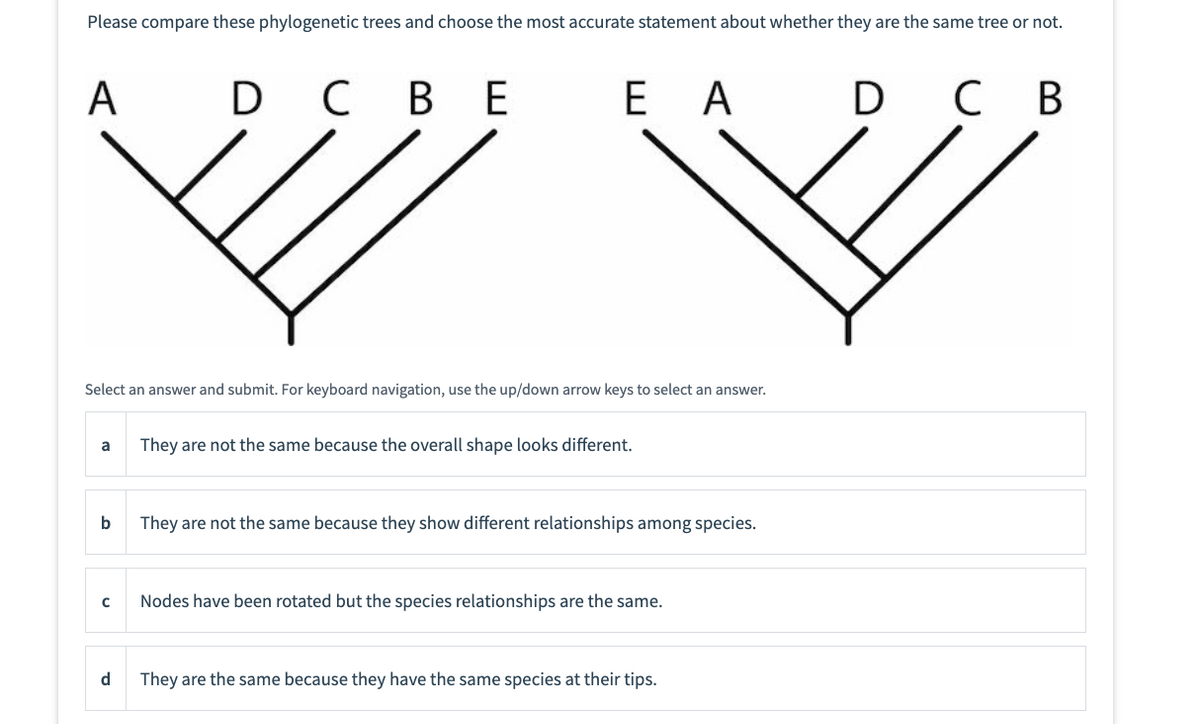 Please compare these phylogenetic trees and choose the most accurate statement about whether they are the same tree or not.
A
a
Select an answer and submit. For keyboard navigation, use the up/down arrow keys to select an answer.
b
с
DCBE
d
E A
They are not the same because the overall shape looks different.
They are not the same because they show different relationships among species.
Nodes have been rotated but the species relationships are the same.
They are the same because they have the same species at their tips.
D C B