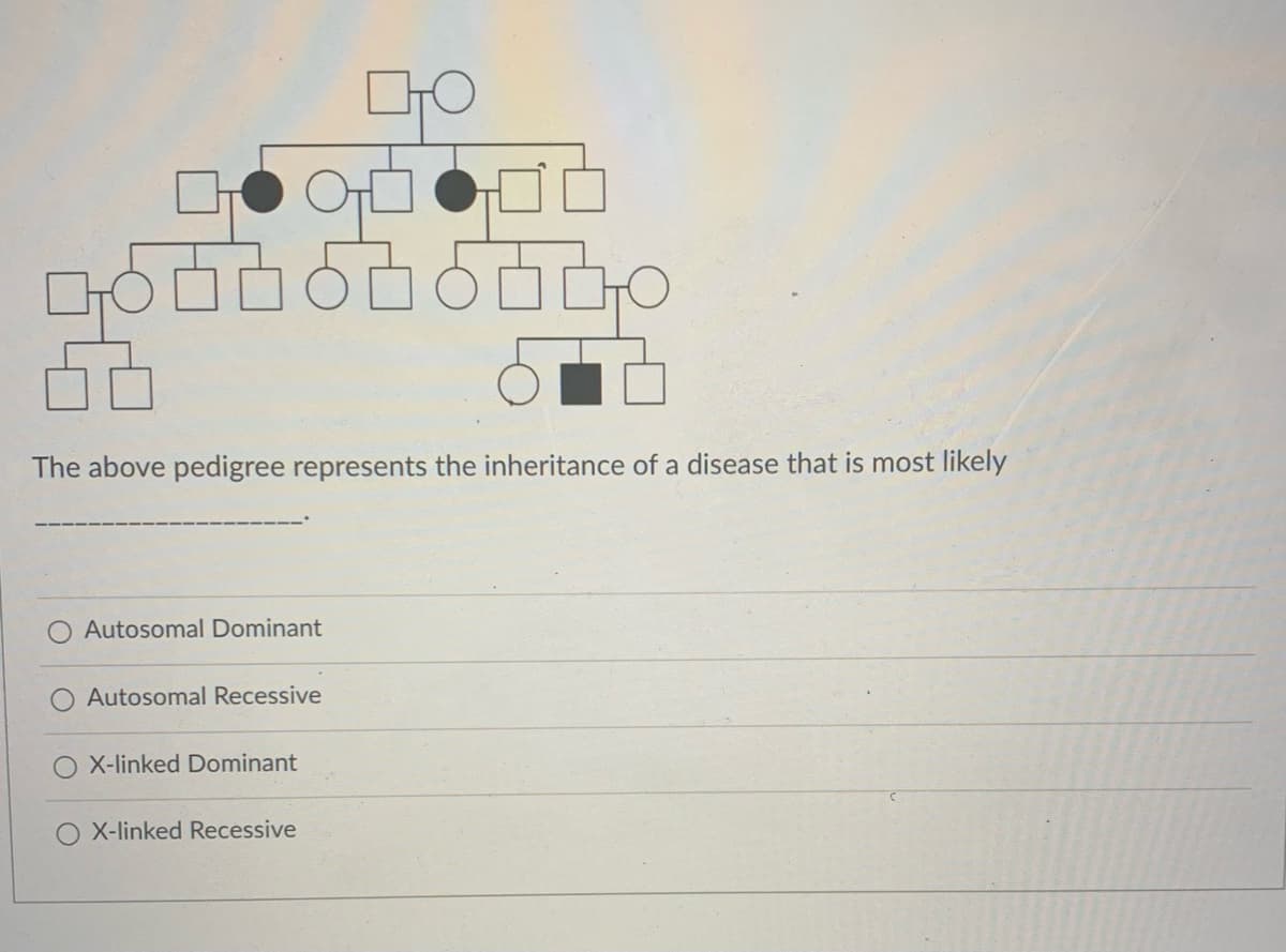 The above pedigree represents the inheritance of a disease that is most likely
Autosomal Dominant
Autosomal Recessive
X-linked Dominant
X-linked Recessive
