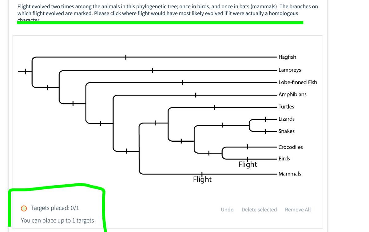 Flight evolved two times among the animals in this phylogenetic tree; once in birds, and once in bats (mammals). The branches on
which flight evolved are marked. Please click where flight would have most likely evolved if it were actually a homologous
character
Targets placed: 0/1
You can place up to 1 targets
Flight
Undo
Flight
Delete selected
Hagfish
Lampreys
Lobe-finned Fish
Amphibians
Turtles
Lizards
Snakes
Crocodiles
Birds
Mammals
Remove All