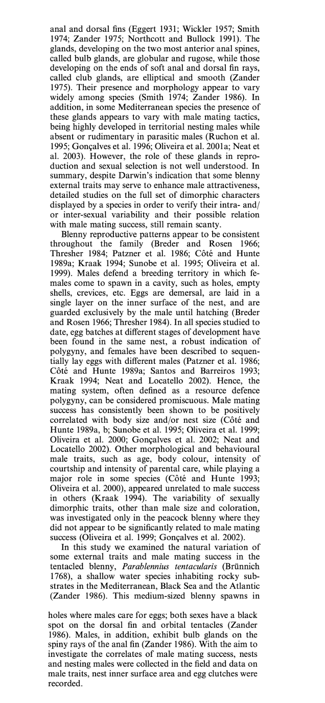 anal and dorsal fins (Eggert 1931; Wickler 1957; Smith
1974; Zander 1975; Northcott and Bullock 1991). The
glands, developing on the two most anterior anal spines,
called bulb glands, are globular and rugose, while those
developing on the ends of soft anal and dorsal fin rays,
called club glands, are elliptical and smooth (Zander
1975). Their presence and morphology appear to vary
widely among species (Smith 1974; Zander 1986). In
addition, in some Mediterranean species the presence of
these glands appears to vary with male mating tactics,
being highly developed in territorial nesting males while
absent or rudimentary in parasitic males (Ruchon et al.
1995; Gonçalves et al. 1996; Oliveira et al. 2001a; Neat et
al. 2003). However, the role of these glands in repro-
duction and sexual selection is not well understood. In
summary, despite Darwin's indication that some blenny
external traits may serve to enhance male attractiveness,
detailed studies on the full set of dimorphic characters
displayed by a species in order to verify their intra- and/
or inter-sexual variability and their possible relation
with male mating success, still remain scanty.
Blenny reproductive patterns appear to be consistent
throughout the family (Breder and Rosen 1966;
Thresher 1984; Patzner et al. 1986; Côté and Hunte
1989a; Kraak 1994; Sunobe et al. 1995; Oliveira et al.
1999). Males defend a breeding territory in which fe-
males come to spawn in a cavity, such as holes, empty
shells, crevices, etc. Eggs are demersal, are laid in a
single layer on the inner surface of the nest, and are
guarded exclusively by the male until hatching (Breder
and Rosen 1966; Thresher 1984). In all species studied to
date, egg batches at different stages of development have
been found in the same nest, a robust indication of
polygyny, and females have been described to sequen-
tially lay eggs with different males (Patzner et al. 1986;
Côté and Hunte 1989a; Santos and Barreiros 1993;
Kraak 1994; Neat and Locatello 2002). Hence, the
mating system, often defined as a resource defence
polygyny, can be considered promiscuous. Male mating
success has consistently been shown to be positively
correlated with body size and/or nest size (Côté and
Hunte 1989a, b; Sunobe et al. 1995; Oliveira et al. 1999;
Oliveira et al. 2000; Gonçalves et al. 2002; Neat and
Locatello 2002). Other morphological and behavioural
male traits, such as age, body colour, intensity of
courtship and intensity of parental care, while playing a
major role in some species (Côté and Hunte 1993;
Oliveira et al. 2000), appeared unrelated to male success
in others (Kraak 1994). The variability of sexually
dimorphic traits, other than male size and coloration,
was investigated only in the peacock blenny where they
did not appear to be significantly related to male mating
success (Oliveira et al. 1999; Gonçalves et al. 2002).
In this study we examined the natural variation of
some external traits and male mating success in the
tentacled blenny, Parablennius tentacularis (Brünnich
1768), a shallow water species inhabiting rocky sub-
strates in the Mediterranean, Black Sea and the Atlantic
(Zander 1986). This medium-sized blenny spawns in
holes where males care for eggs; both sexes have a black
spot on the dorsal fin and orbital tentacles (Zander
1986). Males, in addition, exhibit bulb glands on the
spiny rays of the anal fin (Zander 1986). With the aim to
investigate the correlates of male mating success, nests
and nesting males were collected in the field and data on
male traits, nest inner surface area and egg clutches were
recorded.