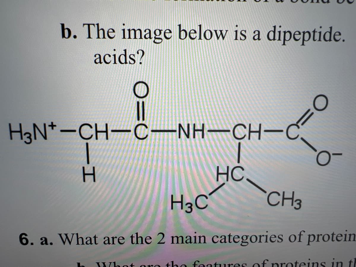 b. The image below is a dipeptide.
acids?
H3N-CH-C-NH-CH-C
|
H
FO
HC.
-0
H3C
CH3
6. a. What are the 2 main categories of protein
features of proteins in th