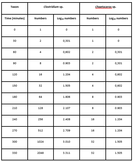 Тахon
Clostridium sp.
Shoetoceros sp.
Time (minutes)
Numbers
Logan numbers
Numbers
Logao numbers
30
2
0,301
60
4
0,602
2
0,301
8
0.903
0,301
06
120
16
1.204
0,602
150
32
1.505
0,602
180
64
1.806
8
0.903
210
128
2.107
8
0.903
240
256
2.408
16
1.204
270
512
2.709
16
1.204
300
1024
3.010
32
1.505
330
2048
3.311
32
1.505
