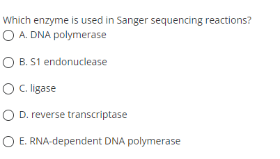 Which enzyme is used in Sanger sequencing reactions?
O A. DNA polymerase
O B. S1 endonuclease
O C. ligase
O D. reverse transcriptase
O E. RNA-dependent DNA polymerase
