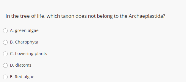 In the tree of life, which taxon does not belong to the Archaeplastida?
A. green algae
B. Charophyta
C. flowering plants
D. diatoms
E. Red algae
