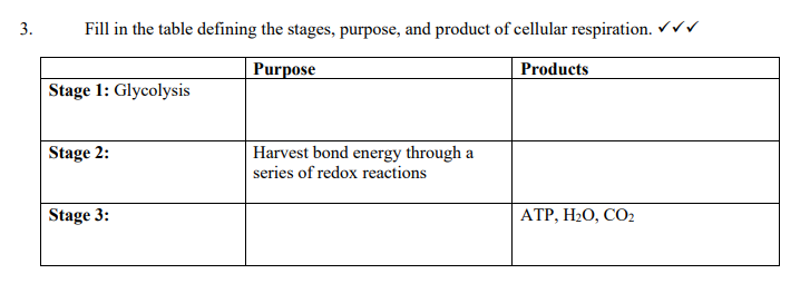3.
Fill in the table defining the stages, purpose, and product of cellular respiration. ✓✓✓
Purpose
Products
Stage 1: Glycolysis
Stage 2:
Stage 3:
Harvest bond energy through a
series of redox reactions
ATP, H2O, CO2