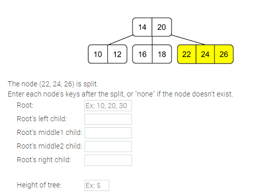 10
Height of tree:
12
Ex: 5
14
20
The node (22, 24, 26) is split.
Enter each node's keys after the split, or "none" if the node doesn't exist.
Root:
Ex: 10, 20, 30
Root's left child:
Root's middle1 child:
Root's middle2 child:
Root's right child:
16 18 22 24 26