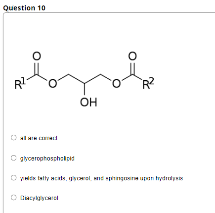 Question 10
RI
R?
ОН
all are correct
glycerophospholipid
O yields fatty acids, glycerol, and sphingosine upon hydrolysis
Diacylglycerol
