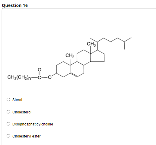 Question 16
CH3
CH3
CH3(CH2)n-
Sterol
Cholesterol
O Lysophosphatidylcholine
Cholesteryl ester

