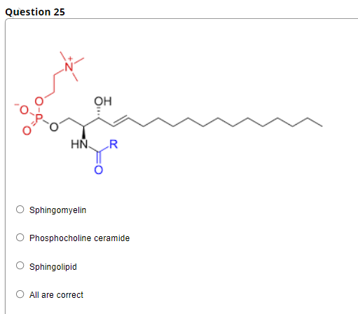 Question 25
он
HN.
Sphingomyelin
Phosphocholine ceramide
Sphingolipid
O All are correct
