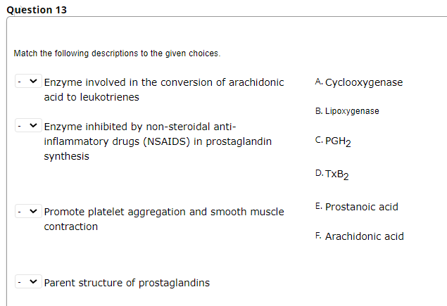 Question 13
Match the following descriptions to the given choices.
Enzyme involved in the conversion of arachidonic
A. Cyclooxygenase
acid to leukotrienes
B. Lipoxygenase
Enzyme inhibited by non-steroidal anti-
inflammatory drugs (NSAIDS) in prostaglandin
synthesis
C. PGH2
D. TXB2
E. Prostanoic acid
Promote platelet aggregation and smooth muscle
contraction
F. Arachidonic acid
v Parent structure of prostaglandins
