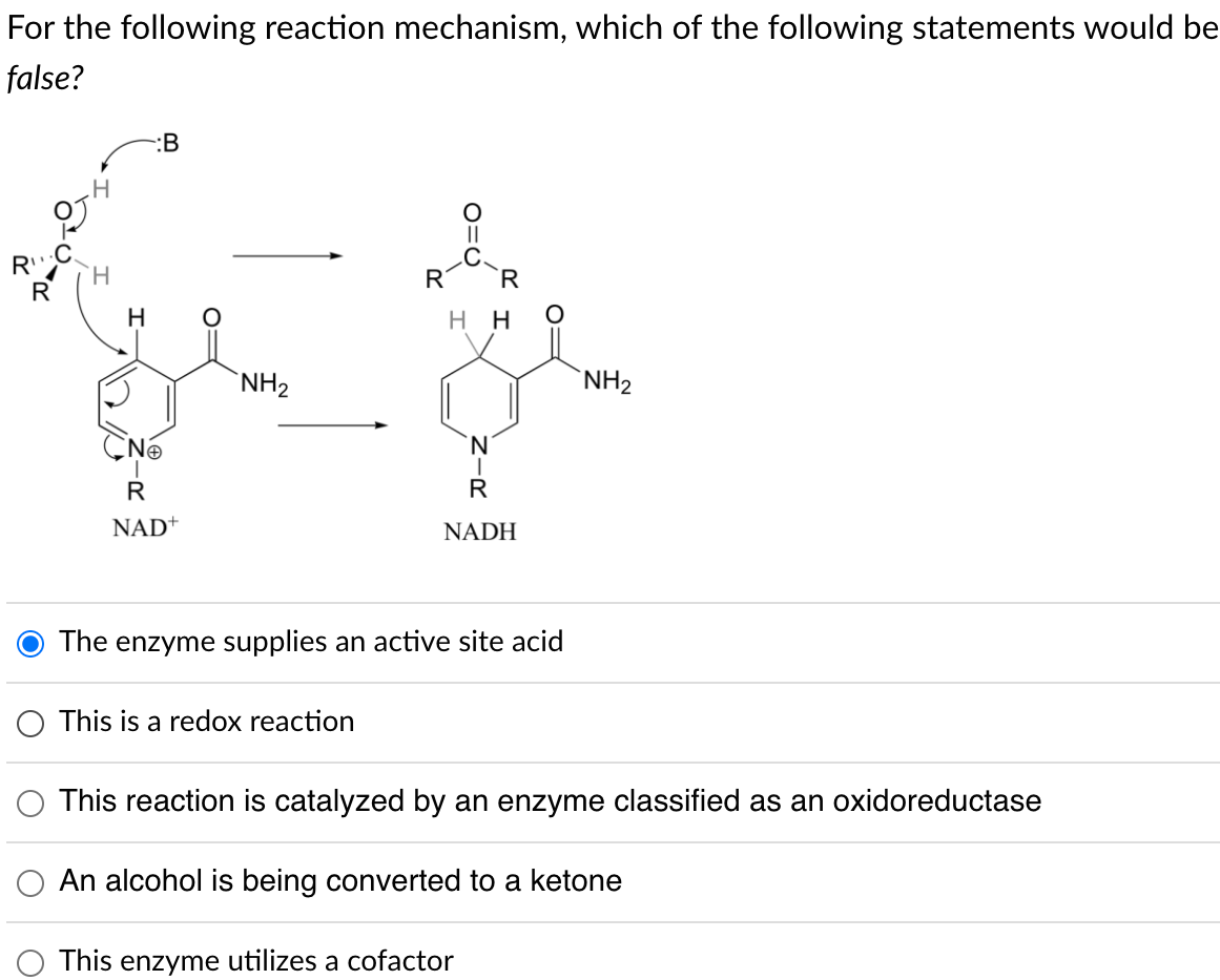 For the following reaction mechanism, which of the following statements would be
false?
H
:B
NⓇ
R
NAD+
NH₂
R
O This is a redox reaction
||
R
HH
`N
R
NADH
O
The enzyme supplies an active site acid
NH₂
This reaction is catalyzed by an enzyme classified as an oxidoreductase
An alcohol is being converted to a ketone
This enzyme utilizes a cofactor