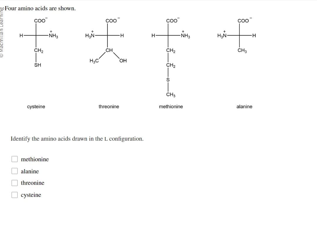 o Four amino acids are shown.
COO
Macmillan Learnin
COO
COO
COO
CH2
-NH3
H3N-
H
H
-NH3
H3N-
-H
CH
CH2
CH3
H3C
OH
SH
CH2
cysteine
S
CH3
threonine
methionine
alanine
Identify the amino acids drawn in the L configuration.
☐ ☐ ☐ ☐
methionine
alanine
threonine
☐ cysteine