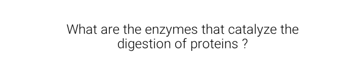 What are the enzymes that catalyze the
digestion of proteins ?
