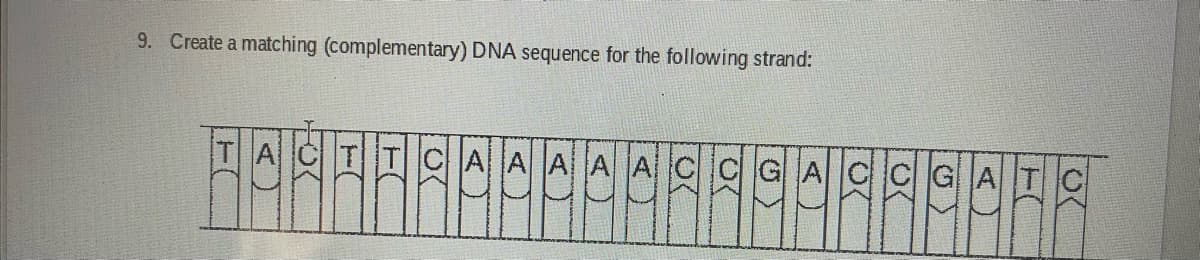 9. Create a matching (complementary) DNA sequence for the following strand:
AA A A ACCGA CCGAT
A)
