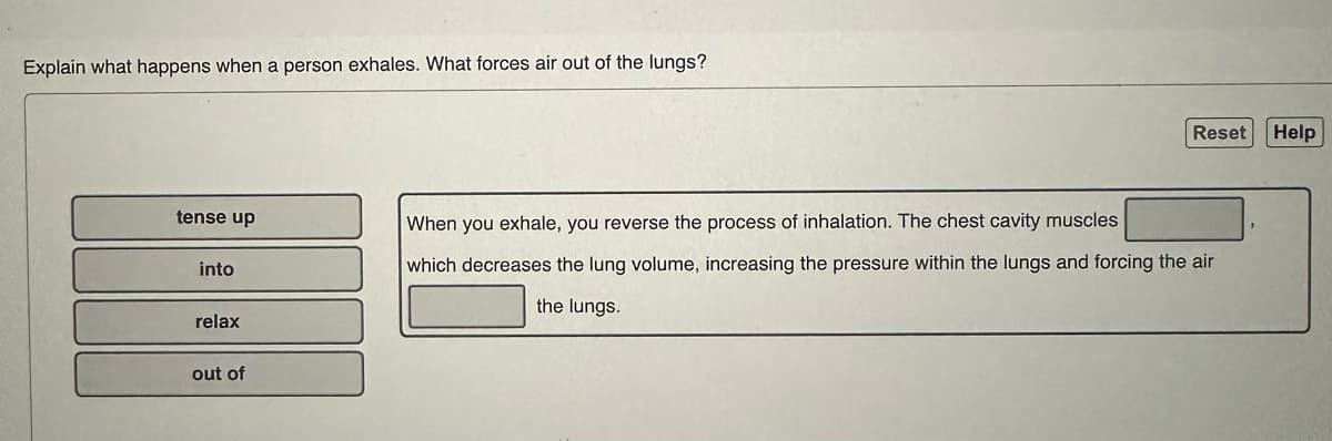 Explain what happens when a person exhales. What forces air out of the lungs?
tense up
into
relax
out of
Reset
When you exhale, you reverse the process of inhalation. The chest cavity muscles
which decreases the lung volume, increasing the pressure within the lungs and forcing the air
the lungs.
Help