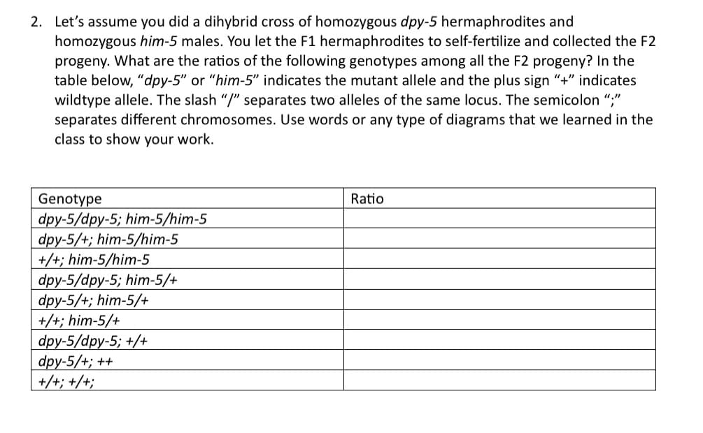 2. Let's assume you did a dihybrid cross of homozygous dpy-5 hermaphrodites and
homozygous him-5 males. You let the F1 hermaphrodites to self-fertilize and collected the F2
progeny. What are the ratios of the following genotypes among all the F2 progeny? In the
table below, "dpy-5" or "him-5" indicates the mutant allele and the plus sign "+" indicates
wildtype allele. The slash “/” separates two alleles of the same locus. The semicolon ";"
separates different chromosomes. Use words or any type of diagrams that we learned in the
class to show your work.
Genotype
dpy-5/dpy-5; him-5/him-5
dpy-5/+; him-5/him-5
+/+; him-5/him-5
dpy-5/dpy-5; him-5/+
dpy-5/+; him-5/+
+/+; him-5/+
dpy-5/dpy-5; +/+
dpy-5/+; ++
+/+; +/+;
Ratio