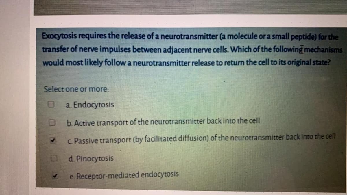 Exocytosis requires the release of a neurotransmitter (a molecule or a small peptide) for the
transfer of nerve impulses between adjacent nerve cells. Which of the following mechanisms
would most likely follow a neurotransmitter release to return the cell to its original state?
Select one or more:
a. Endocytosis
b. Active transport of the neurotransmitter back into the cell
c. Passive transport (by facilitated diffusion) of the neurotransmitter back into the cell
a d. Pinocytosis
e. Receptor-mediated endocytosis

