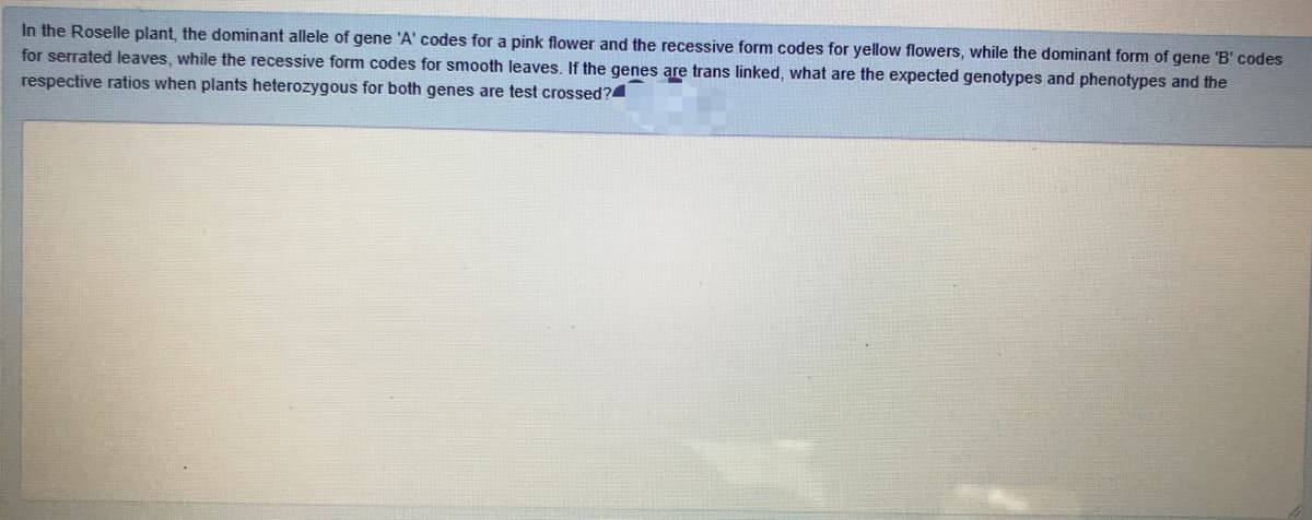 In the Roselle plant, the dominant allele of gene 'A' codes for a pink flower and the recessive form codes for yellow flowers, while the dominant form of gene 'B' codes
for serrated leaves, while the recessive form codes for smooth leaves. If the genes are trans linked, what are the expected genotypes and phenotypes and the
respective ratios when plants heterozygous for both genes are test crossed?
