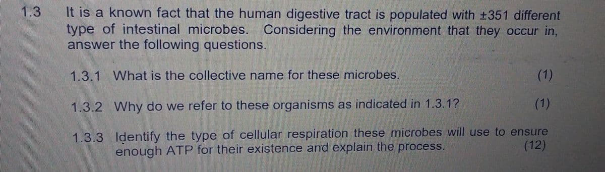 1.3
It is a known fact that the human digestive tract is populated with ±351 different
type of intestinal microbes. Considering the environment that they occur in,
answer the following questions.
1.3.1 What is the collective name for these microbes.
(1)
1.3.2 Why do we refer to these organisms as indicated in 1.3.1?
(1)
1.3.3 Identify the type of cellular respiration these microbes will use to ensure
enough ATP for their existence and explain the process.
(12)
