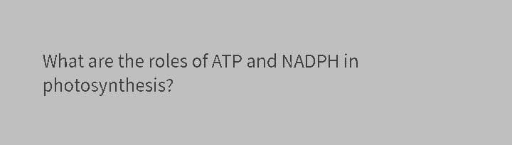 What are the roles of ATP and NADPH in
photosynthesis?
