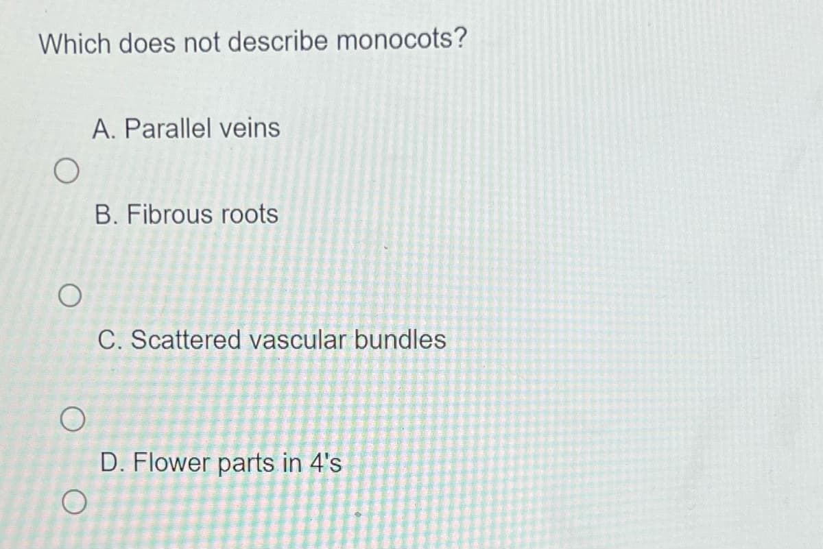Which does not describe monocots?
O
O
O
O
A. Parallel veins
B. Fibrous roots
C. Scattered vascular bundles
D. Flower parts in 4's