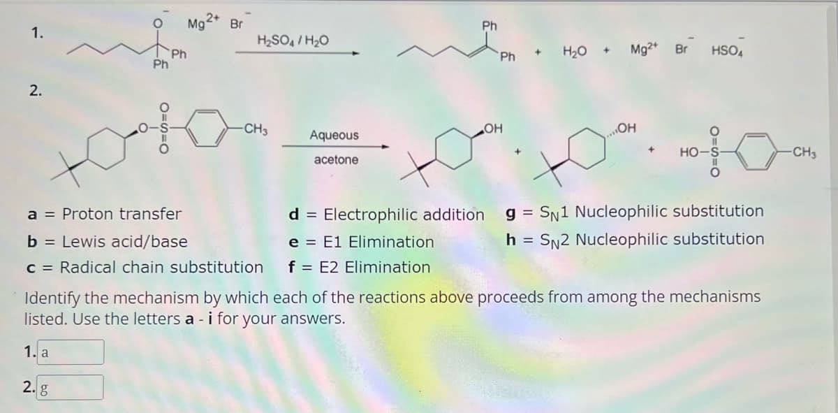 1.
2.
Mg2+ Br
Ph
Ph
toto
2. g
H₂SO4/H₂O
-CH3
a = Proton transfer
b = Lewis acid/base
c = Radical chain substitution
Aqueous
acetone
Ph
m.
d = Electrophilic addition
e E1 Elimination
f = E2 Elimination
Ph
OH
+
H₂O + Mg2+ Br
HSO4
OH
10.10
+
HO-S
gSN1 Nucleophilic substitution
h = SN2 Nucleophilic substitution
Identify the mechanism by which each of the reactions above proceeds from among the mechanisms
listed. Use the letters a -i for your answers.
1. a
-CH3