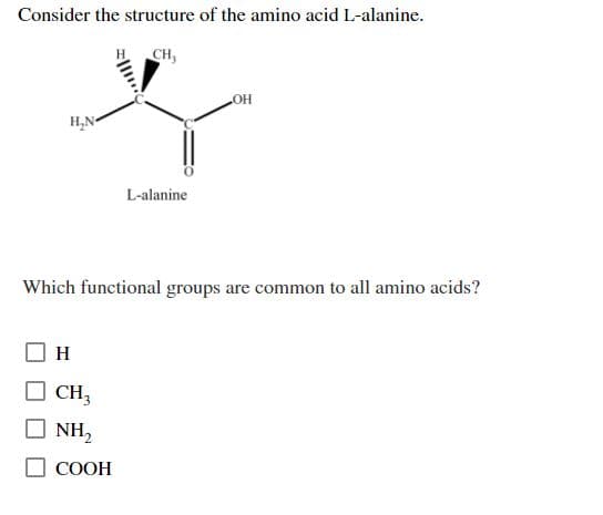 Consider the structure of the amino acid L-alanine.
H CH,
H,N-
L-alanine
Which functional groups are common to all amino acids?
H
CH,
O NH,
СООН
