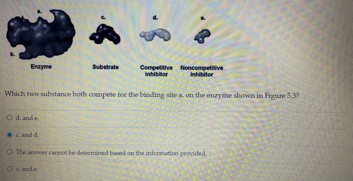 d.
Enzyme
Substrate
Competitive
inhibitor
Noncompetitive
inhibitor
Which two substance both compete for the binding site a. on the enzyme shown in Figure 5.3?
O d. and e.
O C. and d.
O The answer cannot be determined based on the information provided.
O c. and e.

