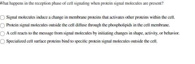 What happens in the reception phase of cell signaling when protein signal molecules are present?
Signal molecules induce a change in membrane proteins that activates other proteins within the cell.
Protein signal molecules outside the cell diffuse through the phospholipids in the cell membrane.
A cell reacts to the message from signal molecules by initiating changes in shape, activity, or behavior.
Specialized cell surface proteins bind to specific protein signal molecules outside the cell.