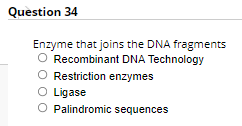Quèstion 34
Enzyme that joins the DNA fragments
O Recombinant DNA Technology
O Restriction enzymes
O Ligase
O Palindromic sequences

