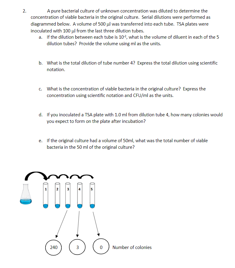 A pure bacterial culture of unknown concentration was diluted to determine the
concentration of viable bacteria in the original culture. Serial dilutions were performed as
2.
diagrammed below. A volume of 500 µl was transferred into each tube. TSA plates were
inoculated with 100 µl from the last three dilution tubes.
a. If the dilution between each tube is 102, what is the volume of diluent in each of the 5
dilution tubes? Provide the volume using ml as the units.
b. What is the total dilution of tube number 4? Express the total dilution using scientific
notation.
c. What is the concentration of viable bacteria in the original culture? Express the
concentration using scientific notation and CFU/ml as the units.
d. If you inoculated a TSA plate with 1.0 ml from dilution tube 4, how many colonies would
you expect to form on the plate after incubation?
e. If the original culture had a volume of 50ml, what was the total number of viable
bacteria in the 50 ml of the original culture?
1 2
3
240
3
Number of colonies
