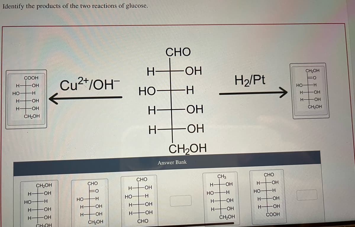 Identify the products of the two reactions of glucose.
COOH
HOH
Н
НО H
Н HOH
Н-
-OH
CH₂OH
Н
НО
CH2OH
-OH
H-
H
-Н
-OH
OH
CH₂OH
Cu2+/OH-
CHO
O
НО н
H
OH
H-+ -OH
CH₂OH
Н
но-
Н-
Н-
CHO
HOH
но-
Н-
-Н
-ОН
H-OH
CHO
CHO
-ОН
-Н
-ОН
-ОН
CH2OH
Answer Bank
0
CH3
H—
НО
-OH
-H
H-OH
H-OH
CH₂OH
H₂/Pt
CHO
H-OH
HO-H
H -ОН
H
OH
COOH
CH₂OH
=0
HO-H
H-
Н
-ОН
-OH
CH₂OH