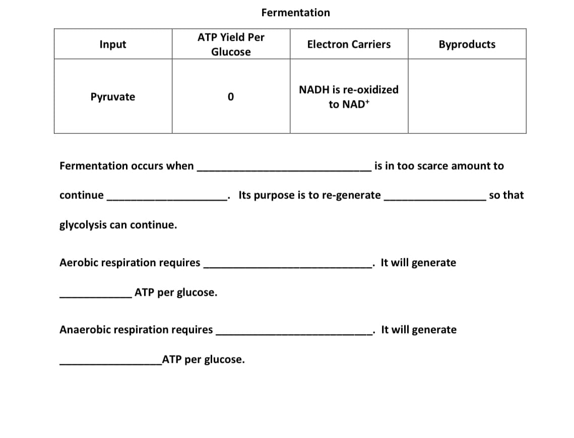Fermentation
ATP Yield Per
Input
Electron Carriers
Byproducts
Glucose
NADH is re-oxidized
Pyruvate
to NAD+
Fermentation occurs when
is in too scarce amount to
continue
Its purpose is to re-generate
so that
glycolysis can continue.
Aerobic respiration requires
It will generate
ATP per glucose.
Anaerobic respiration requires
It will generate
ATP per glucose.
