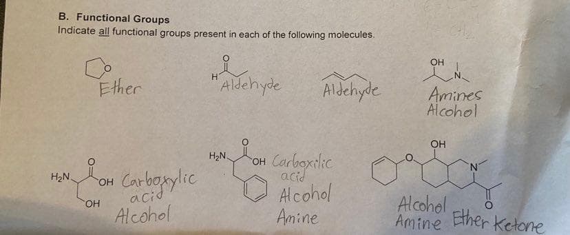 B. Functional Groups
Indicate all functional groups present in each of the following molecules.
Ether
HAldehyde
Aldehyde
LOH Carboxilic
H₂N.
ОН
My Low Carboxylic a Con
H₂N.
acid
OH
Alcohol
OH
Alcohol
Amine
OH
N
Amines
Alcohol
OH
Alcohol
Amine
Ether Ketone