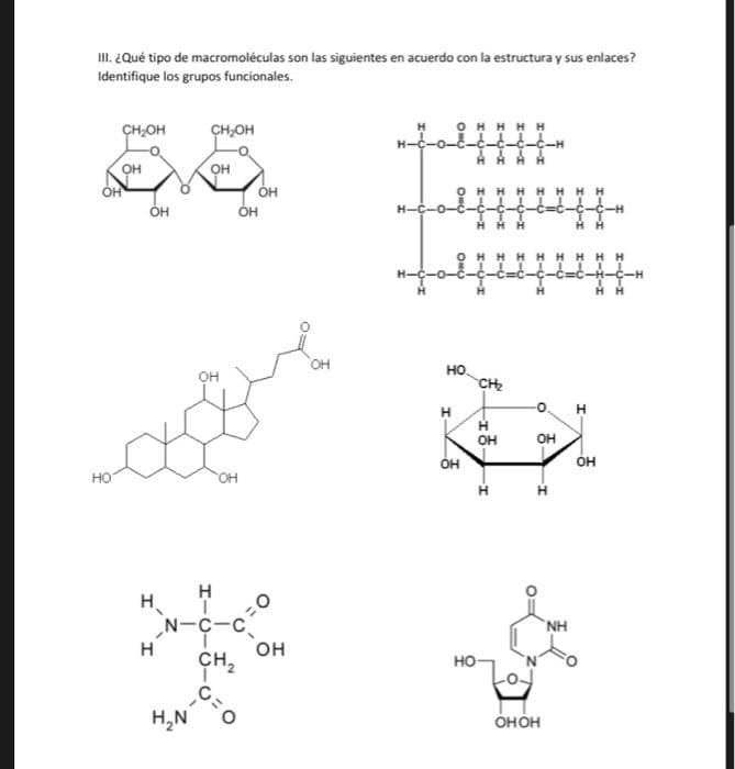 III. ¿Qué tipo de macromoléculas son las siguientes en acuerdo con la estructura y sus enlaces?
Identifique los grupos funcionales.
НО
CH₂OH
OH
OH
H
H
CH₂OH
H₂N
OH
OH
OH
Н
N-C-C
CH,
I
с.
OH
0
OH
=0
OH
OH
он
I
ONU
НО
OH
НО
ф-т
CH₂
Н
OH
Н
1-0-1
HHH
I-Q
OH
Т
ОНОН
NH
I
Н Н
OH