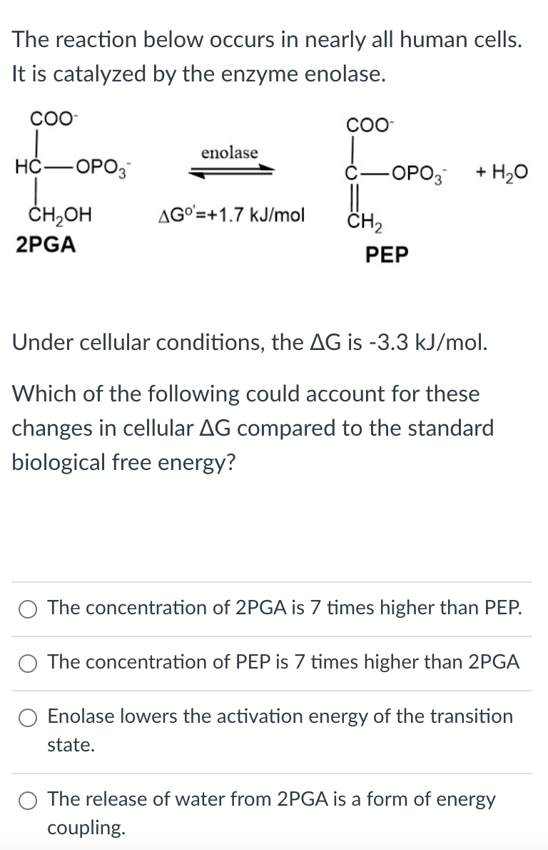 The reaction below occurs in nearly all human cells.
It is catalyzed by the enzyme enolase.
CO-
CO-
enolase
-OPO3
OPO3
+ H20
ČH,OH
AGO'=+1.7 kJ/mol
CH2
2PGA
PEP
Under cellular conditions, the AG is -3.3 kJ/mol.
Which of the following could account for these
changes in cellular AG compared to the standard
biological free energy?
The concentration of 2PGA is 7 times higher than PEP.
The concentration of PEP is 7 times higher than 2PGA
Enolase lowers the activation energy of the transition
state.
The release of water from 2PGA is a form of
energy
coupling.

