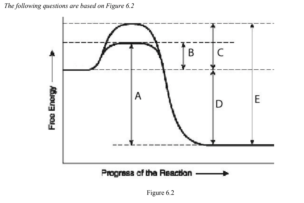 The following questions
are based on
Figure 6.2
В
A
E
D
Progress of the Reaction
Figure 6.2
Free Energy
