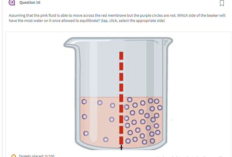 Question 16
Assuming that the pink fluid is able to move across the red membrane but the purple circles are not. Which side of the beaker will
have the most water on it once allowed to equilibrate? (tap, click, select the appropriate side)
Targets placed: 0/100
