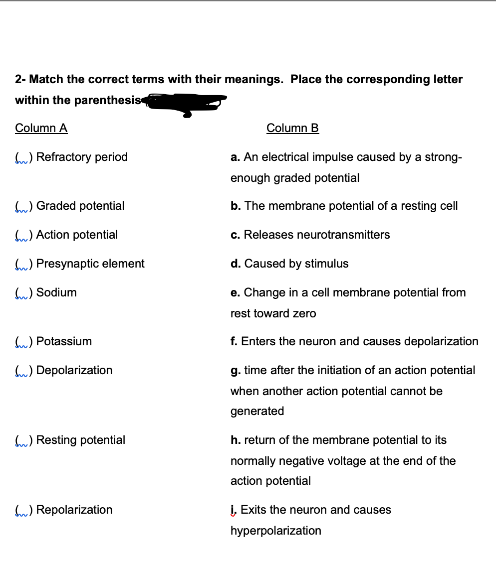 2- Match the correct terms with their meanings. Place the corresponding letter
within the parenthesis
Column A
Column B
hu) Refractory period
a. An electrical impulse caused by a strong-
enough graded potential
) Graded potential
b. The membrane potential of a resting cell
hu) Action potential
c. Releases neurotransmitters
hu) Presynaptic element
d. Caused by stimulus
hu) Sodium
e. Change in a cell membrane potential from
rest toward zero
) Potassium
f. Enters the neuron and causes depolarization
hu) Depolarization
g. time after the initiation of an action potential
when another action potential cannot be
generated
u) Resting potential
h. return of the membrane potential to its
normally negative voltage at the end of the
action potential
hu) Repolarization
i. Exits the neuron and causes
hyperpolarization
