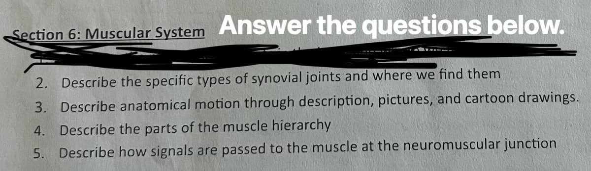 Section 6: Muscular System Answer the questions below.
2. Describe the specific types of synovial joints and where we find them
3. Describe anatomical motion through description, pictures, and cartoon drawings.
4. Describe the parts of the muscle hierarchy
5. Describe how signals are passed to the muscle at the neuromuscular junction