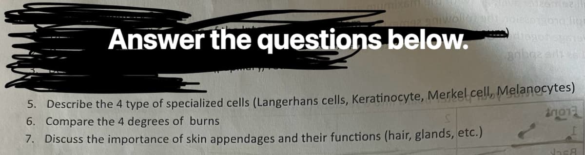 mwolle adr
Answer the questions below.
26922
na liar
gribga sites
5. Describe the 4 type of specialized cells (Langerhans cells, Keratinocyte, Merkel cell, Melanocytes)
6. Compare the 4 degrees of burns
7. Discuss the importance of skin appendages and their functions (hair, glands, etc.)
20013
JasA