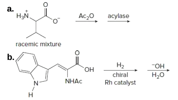 a.
H3N.
Ac20
acylase
racemic mixture
b.
Н2
HO-
Н.о
ОН
chiral
NHẠC
Rh catalyst
エ
