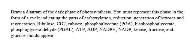 Draw a diagram of the dark phase of photosynthesis. You must represent this phase in the
form of a cycle indicating the parts of carboxylation, reduction, generation of hexoses and
regeneration. Ribulose, CO2, rubisco, phosphoglycerate (PGA), bisphosphoglycerate,
phosphoglyceraldehyde (PGAL), ATP, ADP, NADPH, NADP, kinase, fructose, and
glucose should appear.