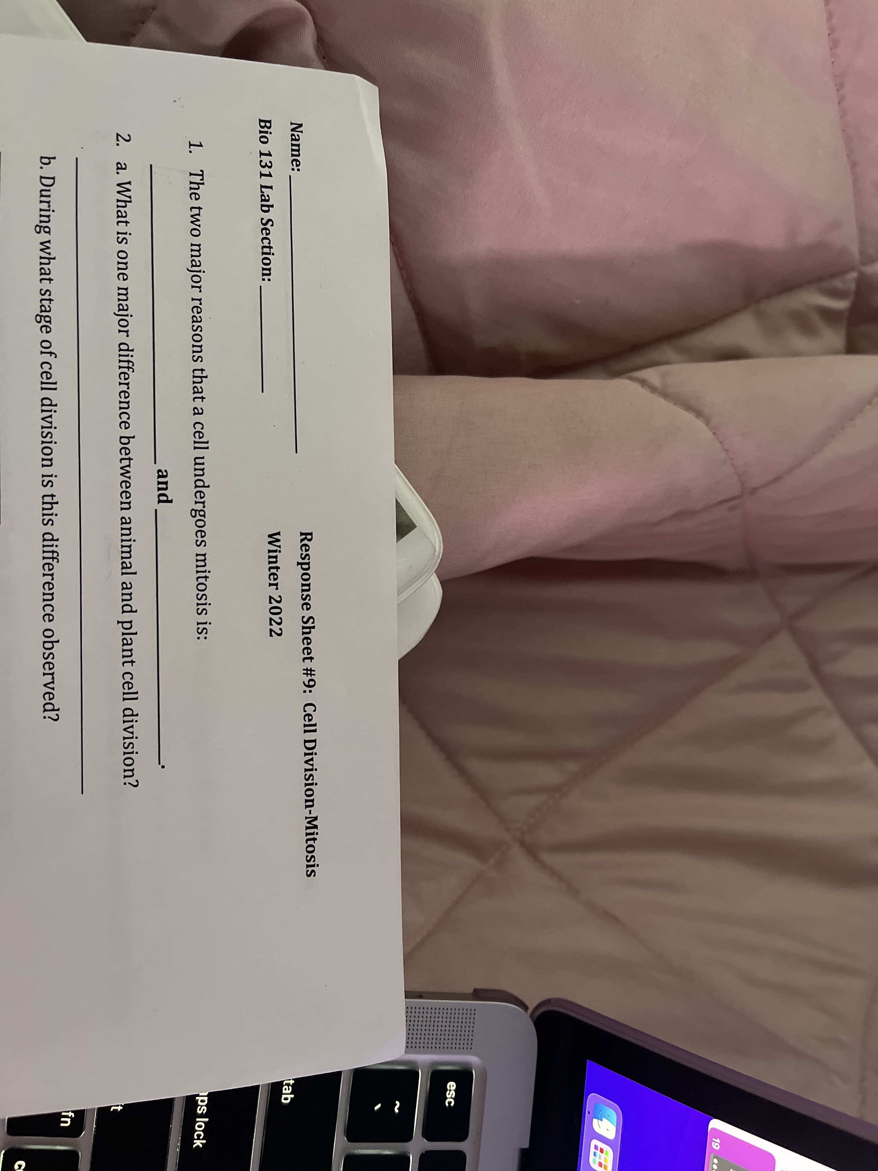 19
9田
esc
Response Sheet #9: Cell Division-Mitosis
Name:
tab
Winter 2022
Bio 131 Lab Section:
ps lock
1. The two major reasons that a cell undergoes mitosis is:
and
2. a. What is one major difference between animal and plant cell division?
it
fn
b. During what stage of cell division is this difference observed?
