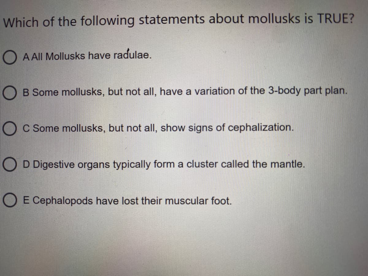 Which of the following statements about mollusks is TRUE?
O A All Mollusks have radulae.
O B Some mollusks, but not all, have a variation of the 3-body part plan.
C Some mollusks, but not all, show signs of cephalization.
O D Digestive organs typically form a cluster called the mantle.
E Cephalopods have lost their muscular foot.
