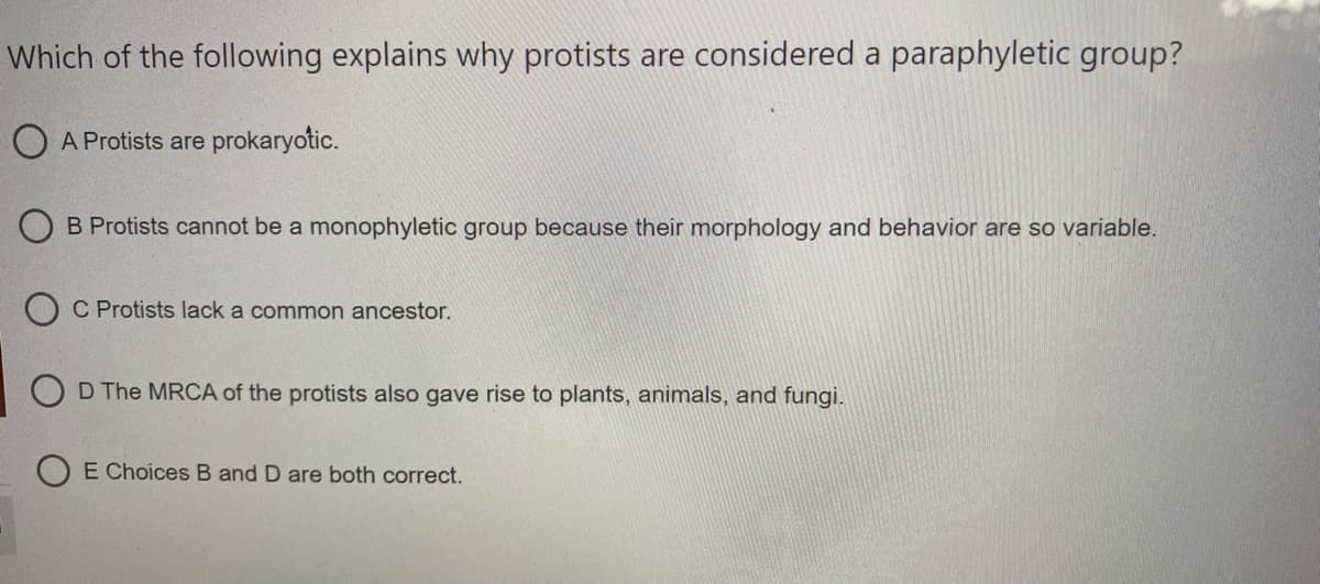Which of the following explains why protists are considered a paraphyletic group?
A Protists are prokaryotic.
B Protists cannot be a monophyletic group because their morphology and behavior are so variable.
C Protists lack a common ancestor.
O D The MRCA of the protists also gave rise to plants, animals, and fungi.
O E Choices B and D are both correct.
